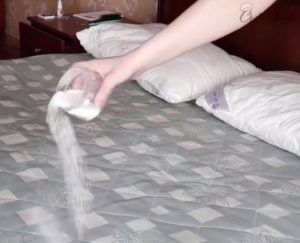 Removing Urine Smell out of mattress