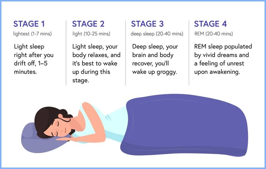 4 sleep-stages