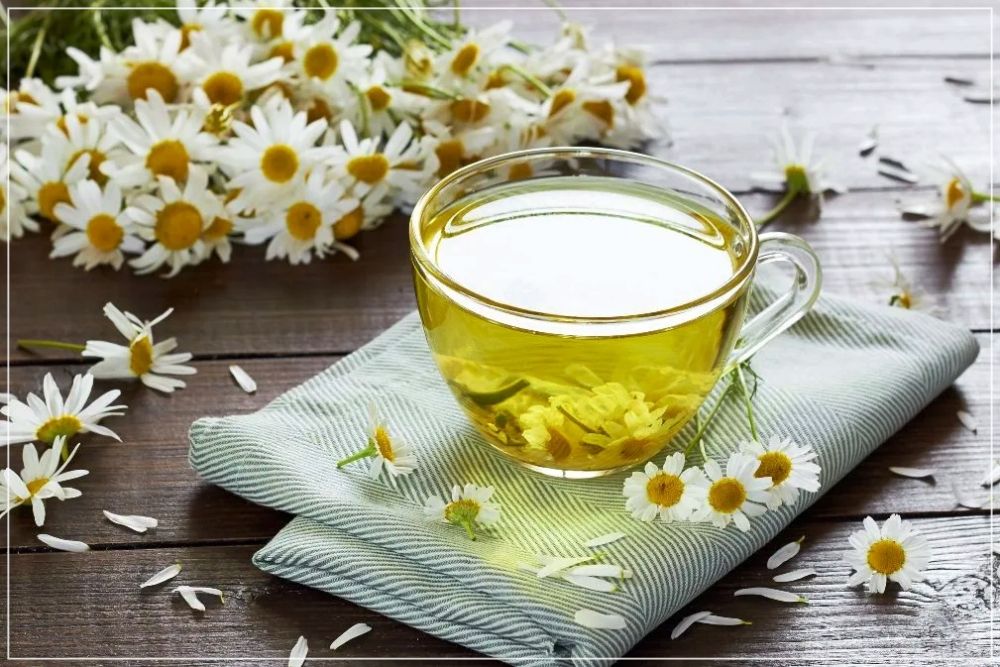 drink chamomile tea help you to sleep